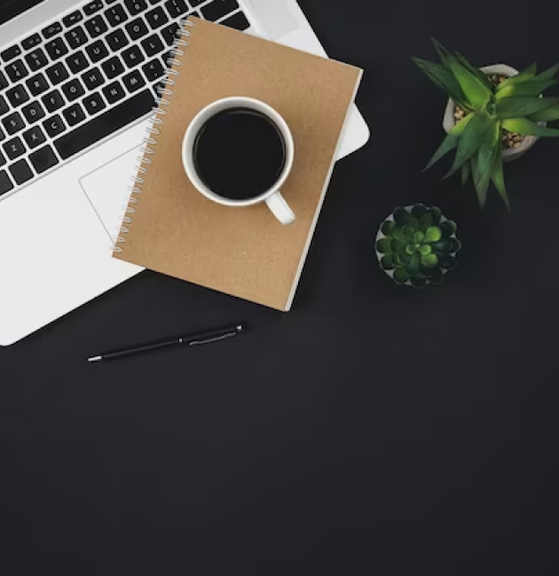 Custom mobile app project